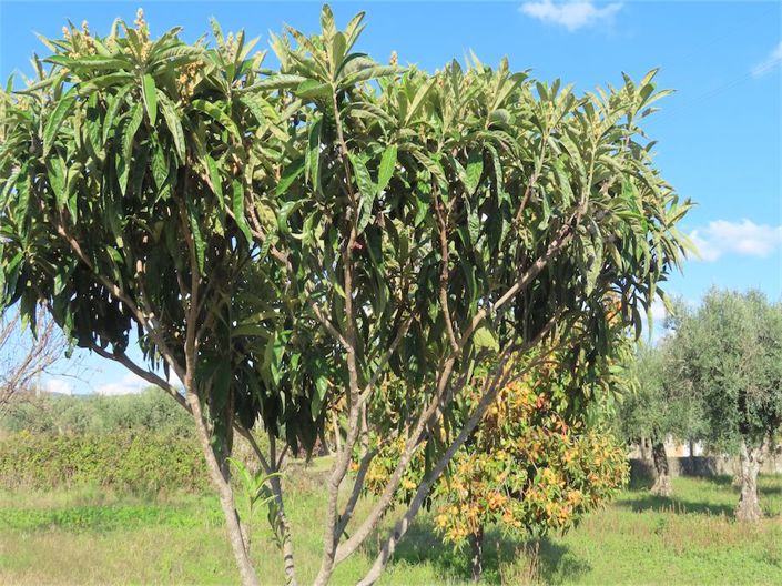 Image No.31-3 Bed Property for sale