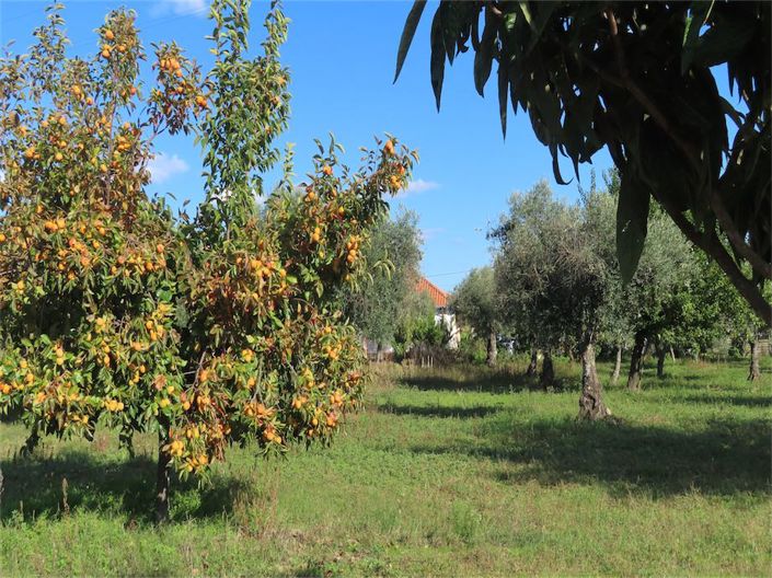 Image No.32-3 Bed Property for sale