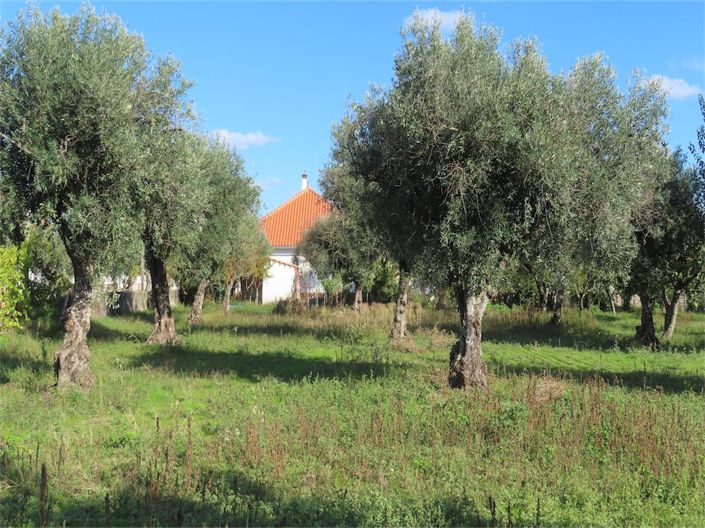 Image No.34-3 Bed Property for sale