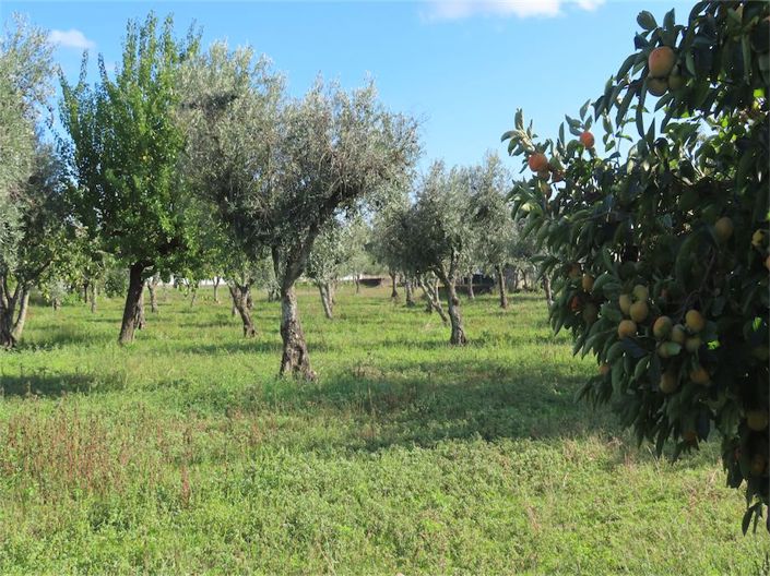 Image No.35-3 Bed Property for sale