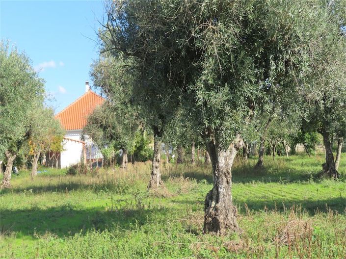 Image No.36-3 Bed Property for sale