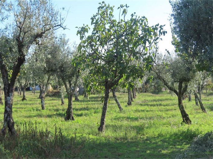 Image No.38-3 Bed Property for sale