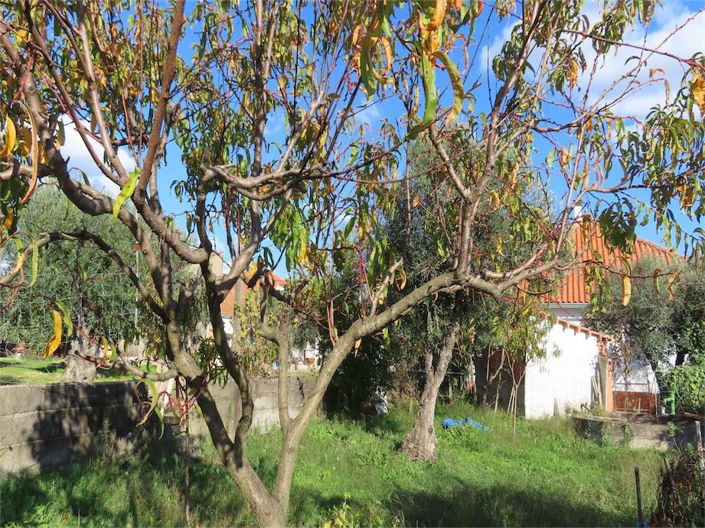 Image No.39-3 Bed Property for sale