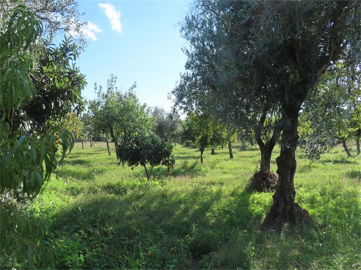 Image No.41-3 Bed Property for sale