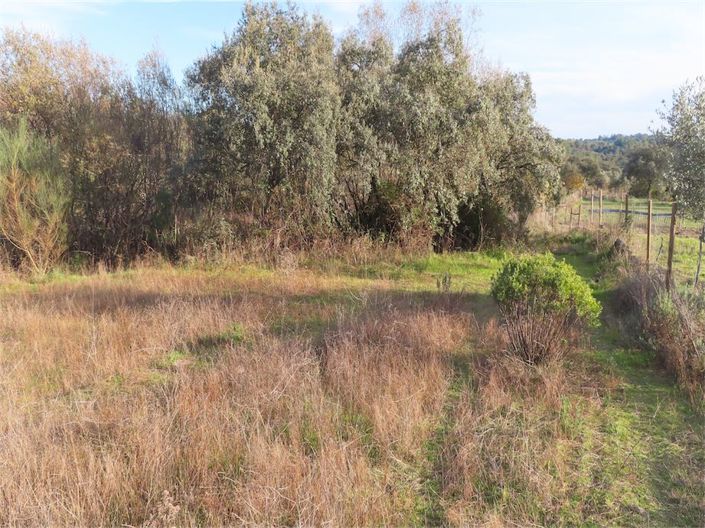 Image No.11-Property for sale