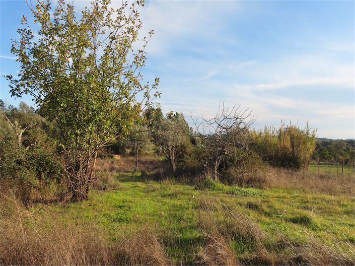 Image No.14-Property for sale