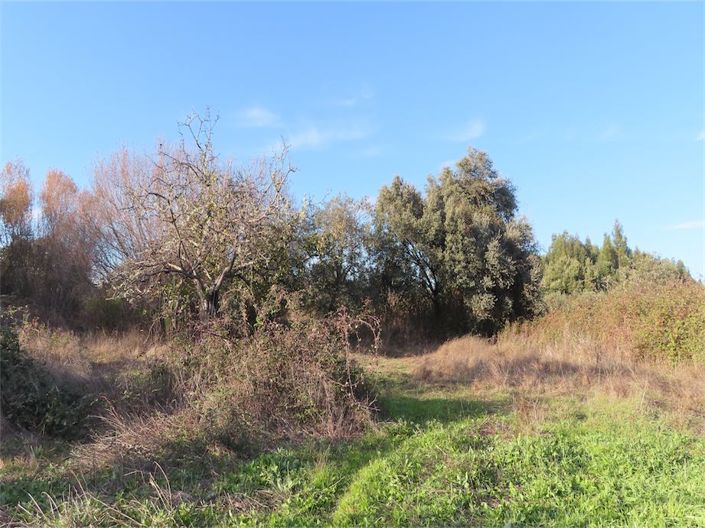 Image No.16-Property for sale