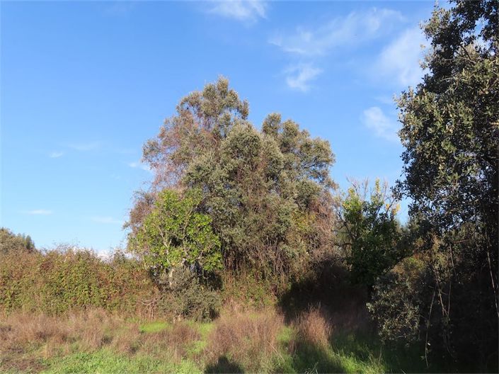 Image No.17-Property for sale