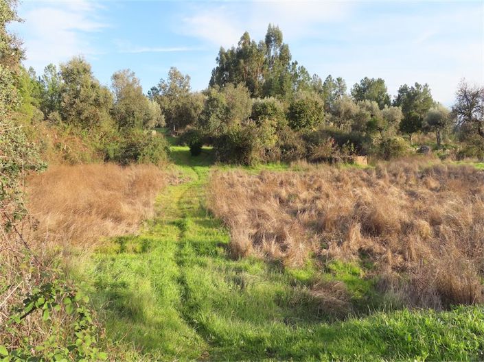 Image No.18-Property for sale