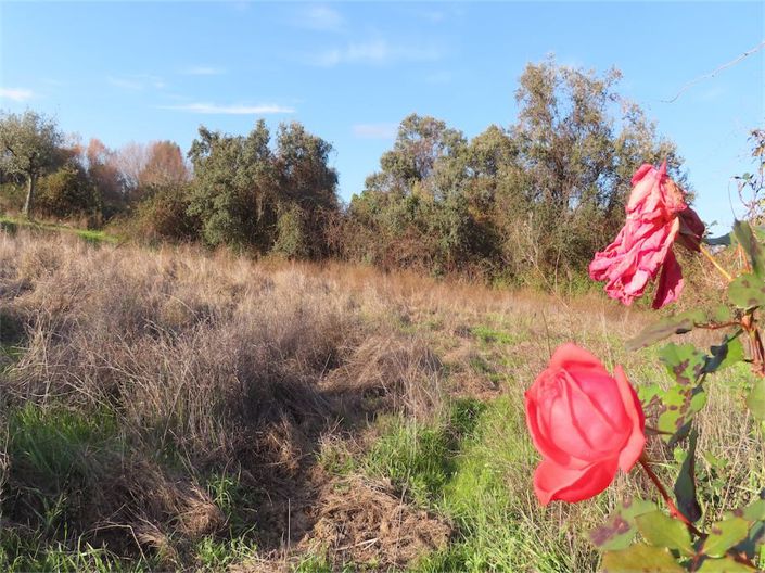 Image No.21-Property for sale