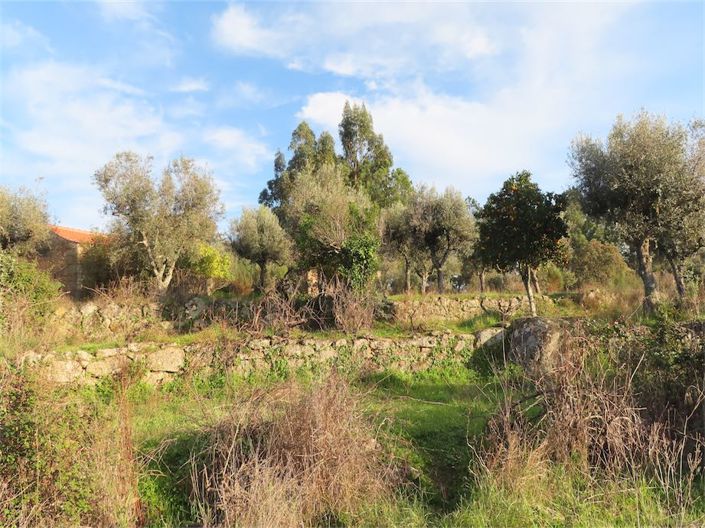 Image No.23-Property for sale