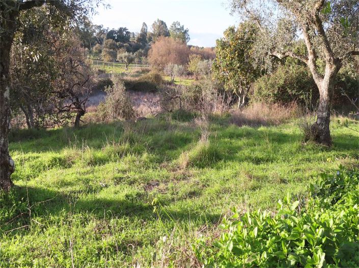 Image No.30-Property for sale