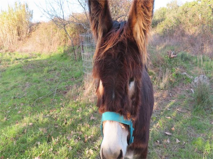 Image No.6-Property for sale