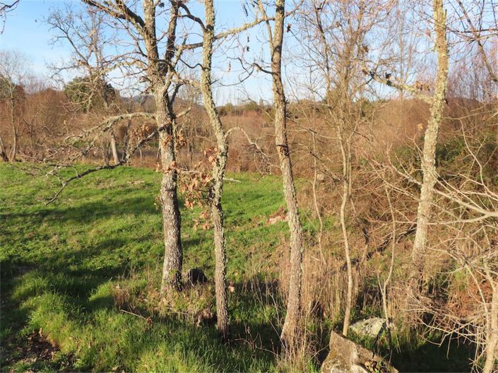 Image No.14-Property for sale