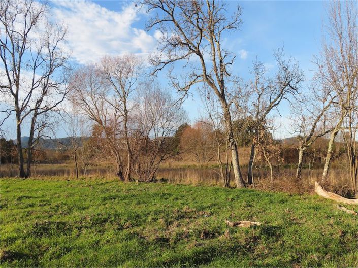 Image No.15-Property for sale