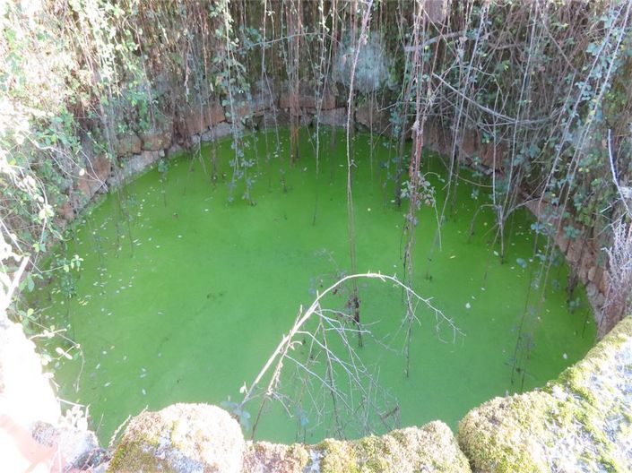 Image No.18-Property for sale