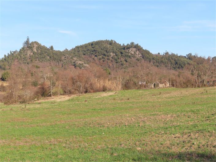 Image No.1-Property for sale