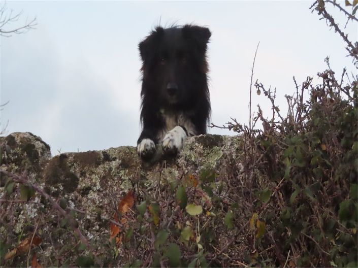 Image No.28-Property for sale