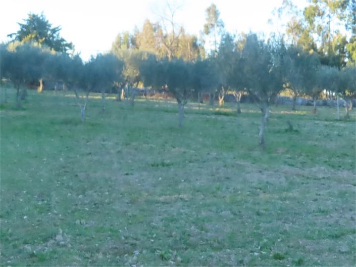 Image No.11-Property for sale