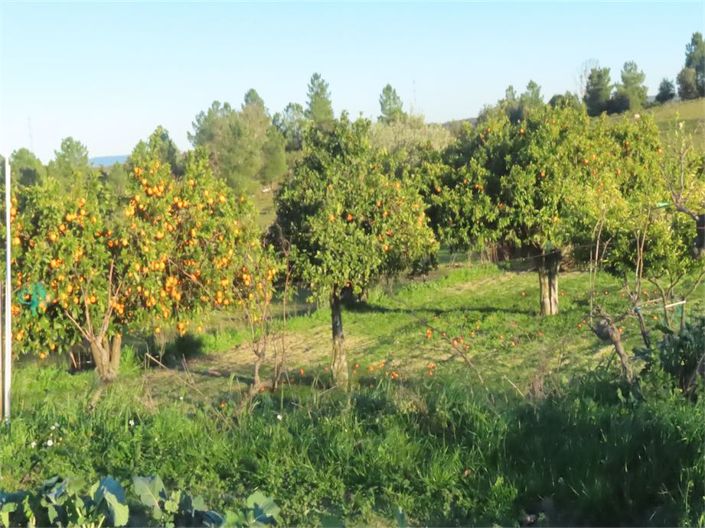 Image No.12-Property for sale