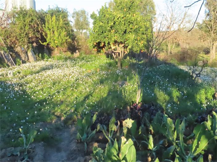 Image No.2-Property for sale