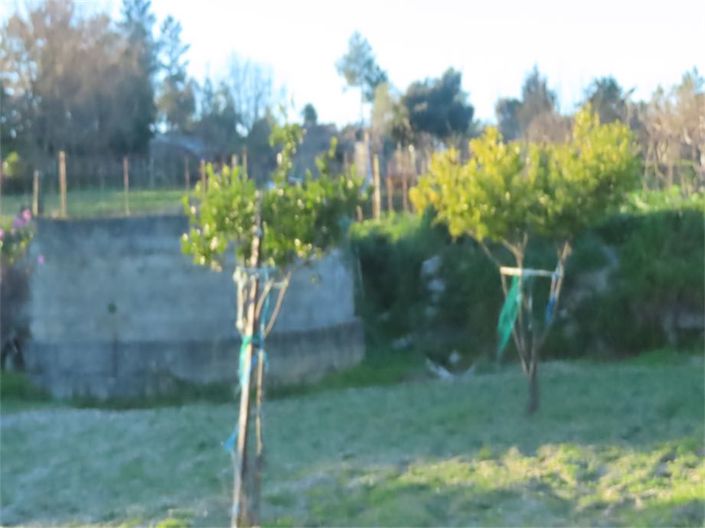 Image No.20-Property for sale