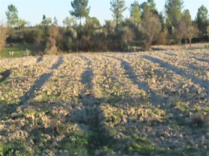 Image No.21-Property for sale