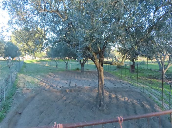 Image No.31-Property for sale