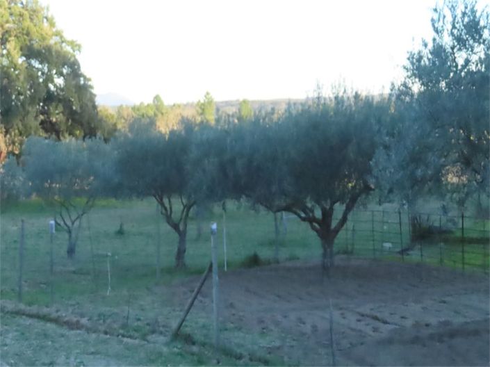 Image No.4-Property for sale