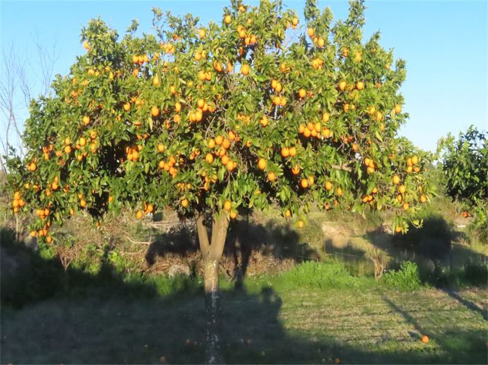 Image No.5-Property for sale