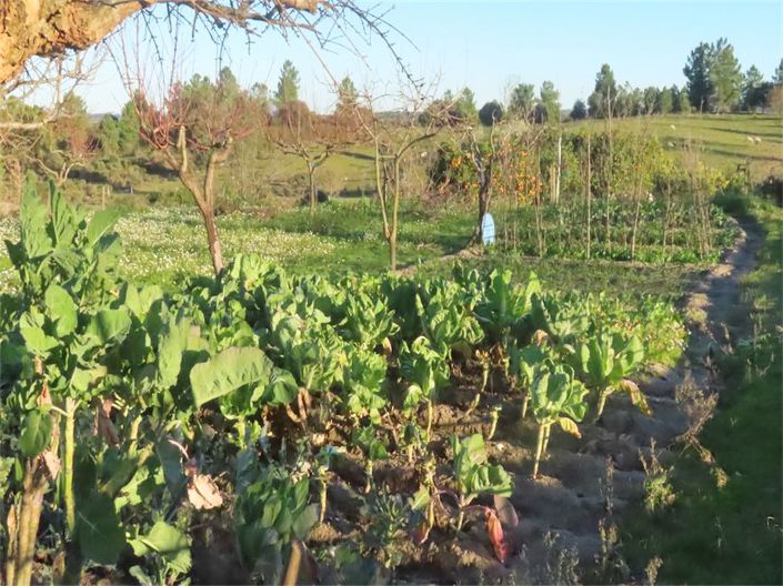 Image No.7-Property for sale