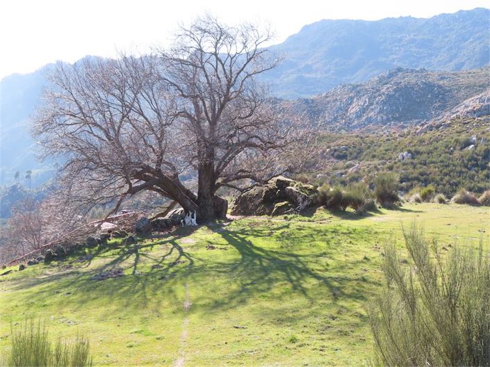 Image No.31-Property for sale