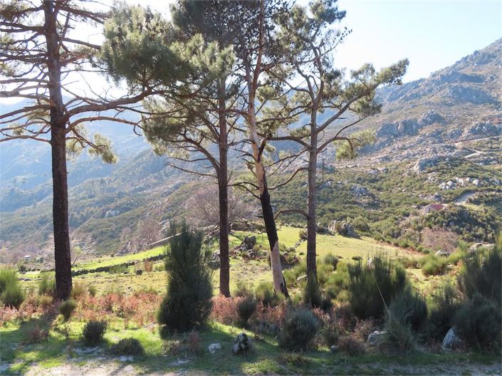 Image No.41-Property for sale