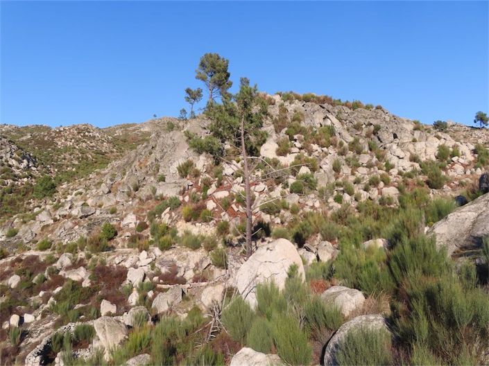 Image No.46-Property for sale