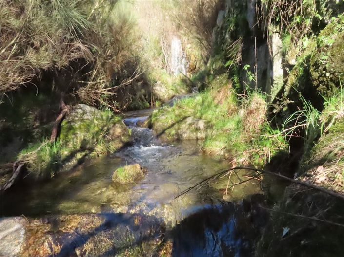 Image No.5-Property for sale