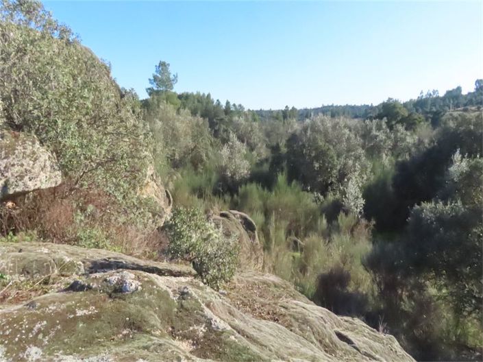 Image No.19-Property for sale