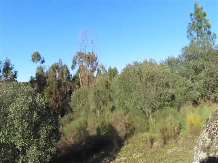 Image No.20-Property for sale