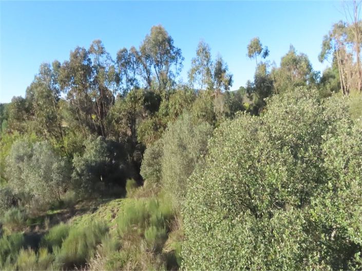 Image No.21-Property for sale