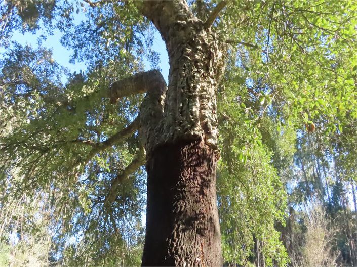 Image No.25-Property for sale