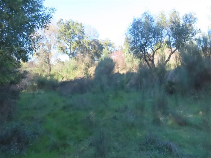 Image No.26-Property for sale