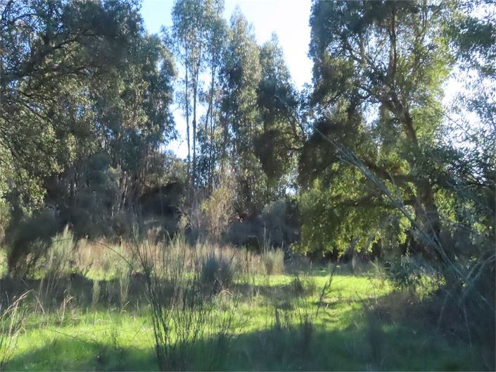 Image No.27-Property for sale