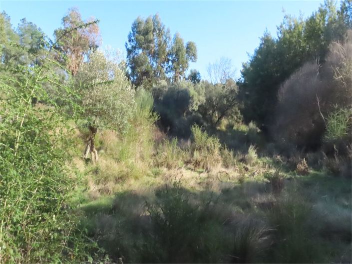 Image No.28-Property for sale