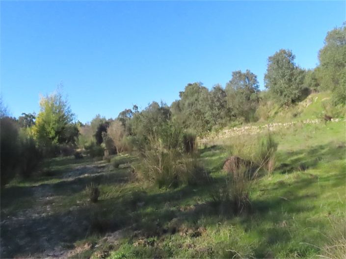 Image No.3-Property for sale