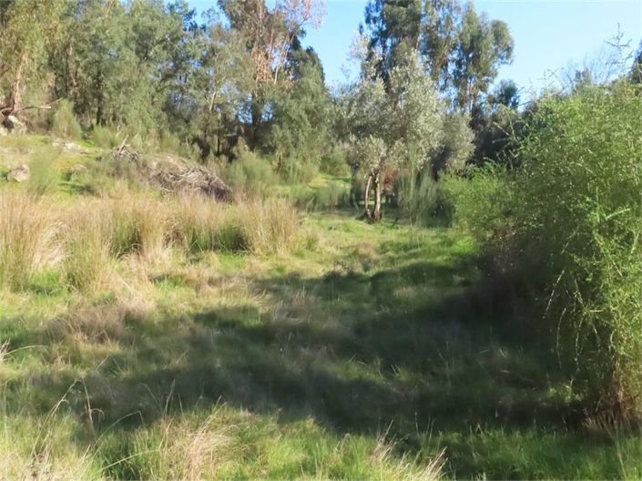 Image No.30-Property for sale