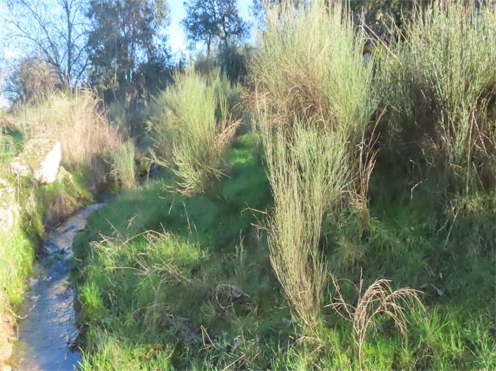 Image No.36-Property for sale