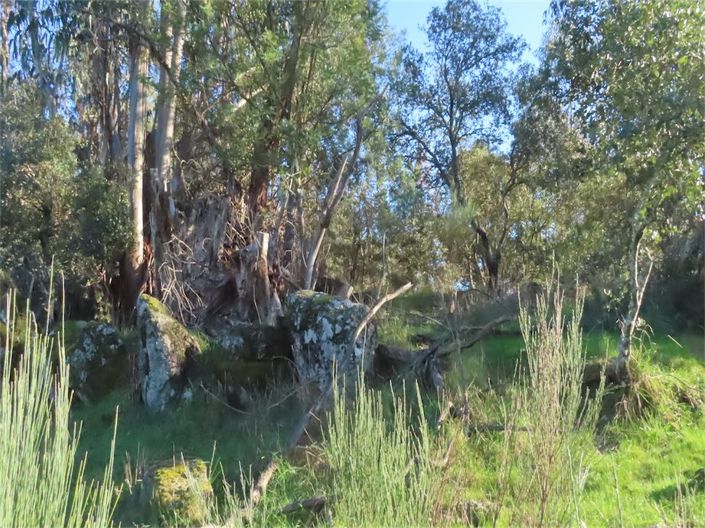 Image No.37-Property for sale