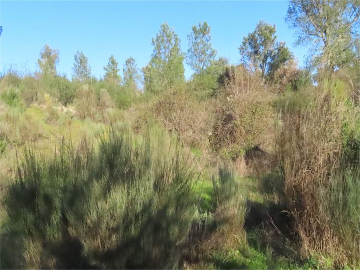 Image No.39-Property for sale