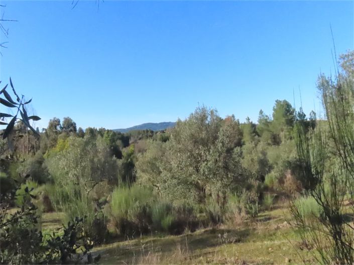 Image No.44-Property for sale