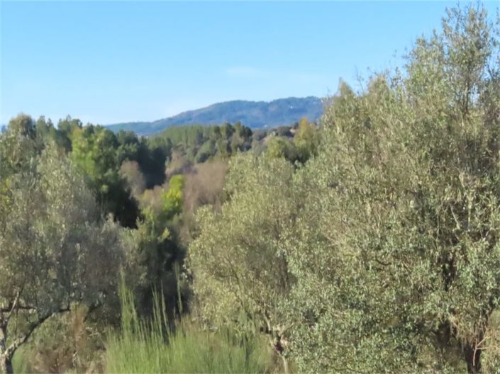 Image No.46-Property for sale