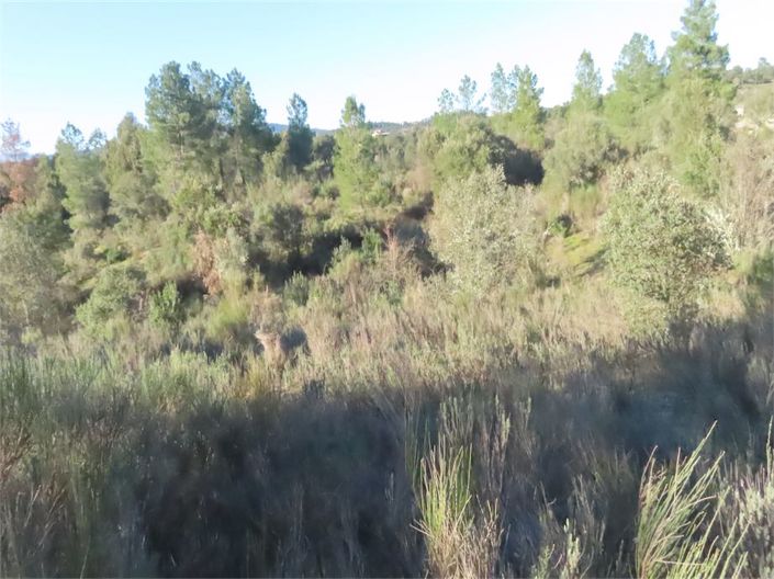 Image No.47-Property for sale